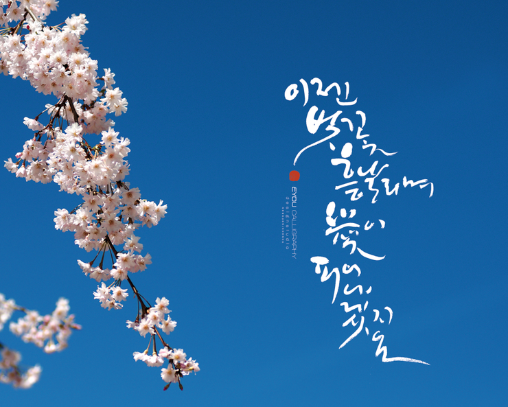 한국캘리그라피디자인센터 이미지