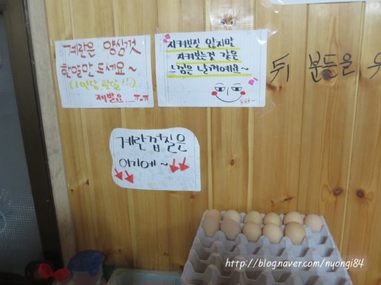 빠박이껍데기 이미지