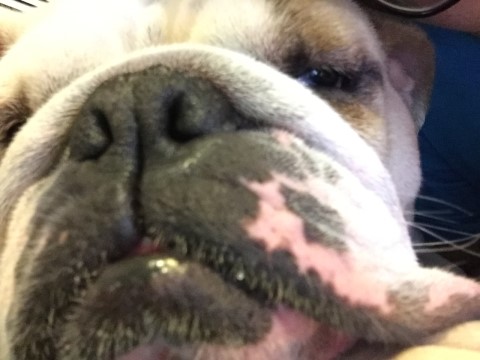 크로스핏돌멩이 이미지