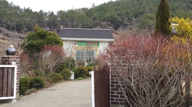 정가네토종닭 이미지