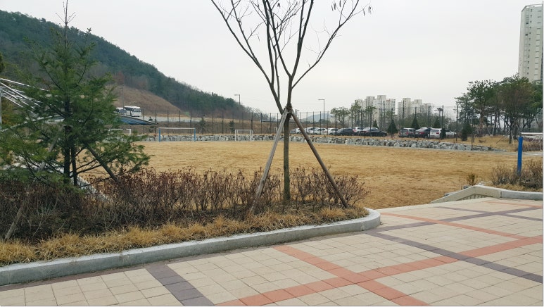 양지중학교 이미지