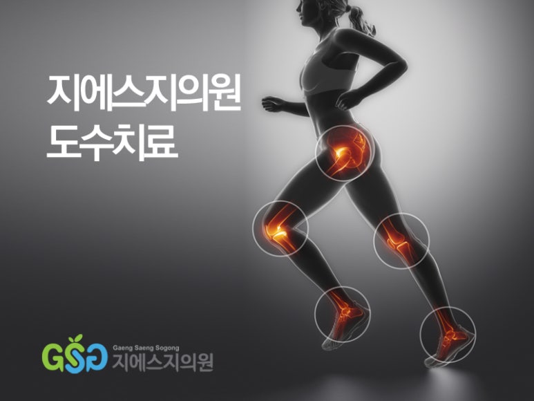 지에스지 이미지