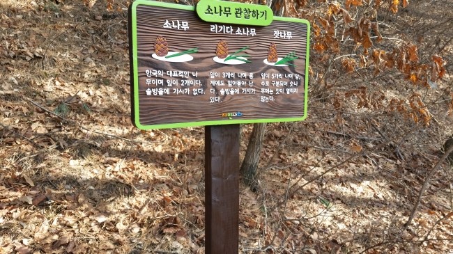 나무와간판 이미지