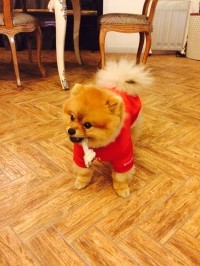 카페노아 이미지
