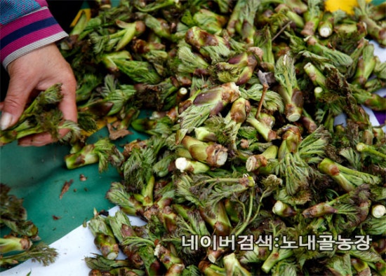 홍천노내골농장 이미지