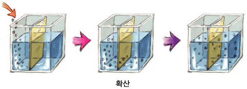 혈액투석 자세히 알기[대한투석협회] : 네이버 블로그