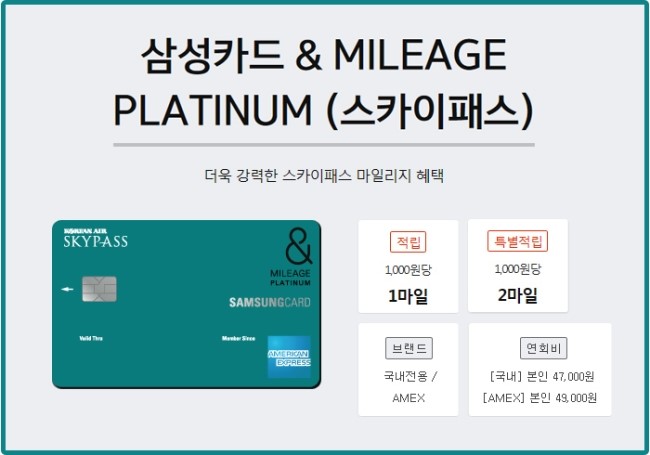 스카이플래티늄항공 이미지