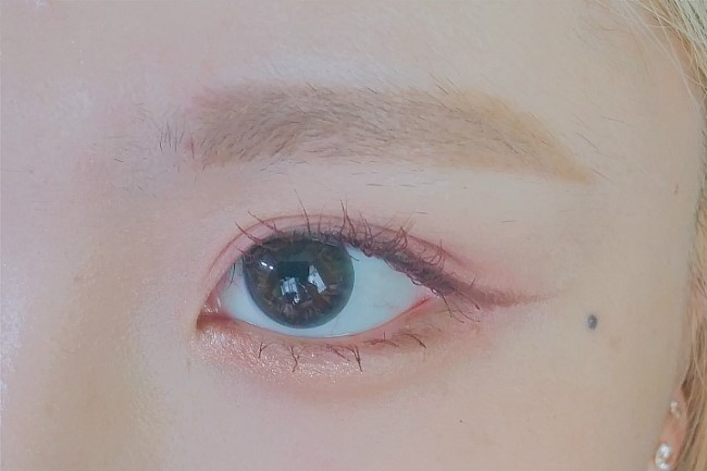 초코픽스 이미지