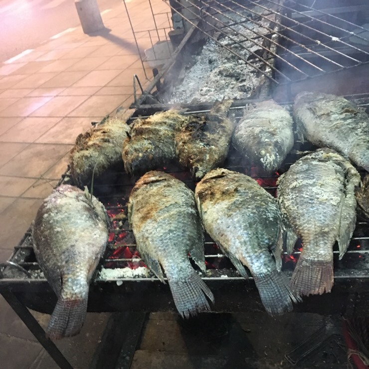 파라곤마사지 이미지