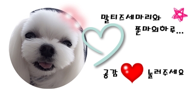 또와유모듬참숯불생선구이 이미지