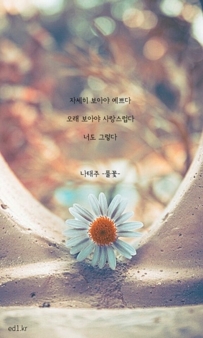 핸드폰나라 이미지