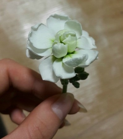 복사꽃다방 이미지