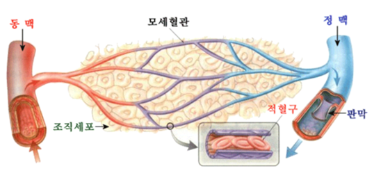 명성한의원 이미지