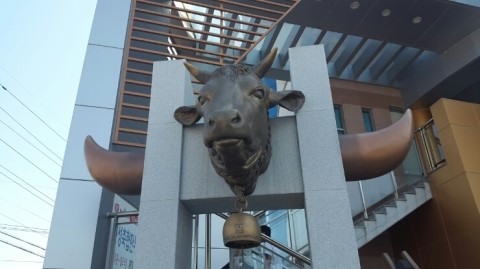 횡성한우 이미지