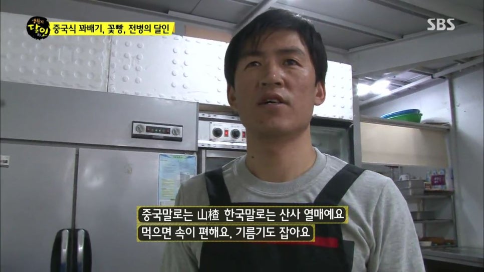 이가꽈배기 이미지