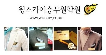 스카이윙 이미지