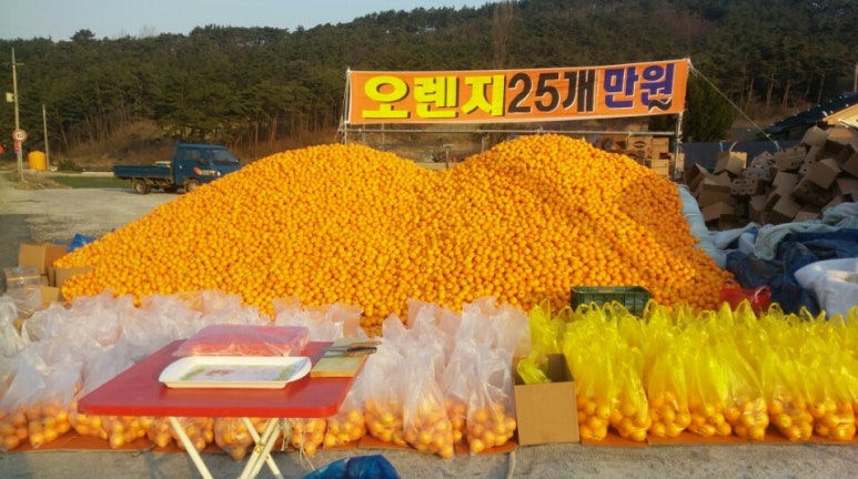 길상농원 이미지