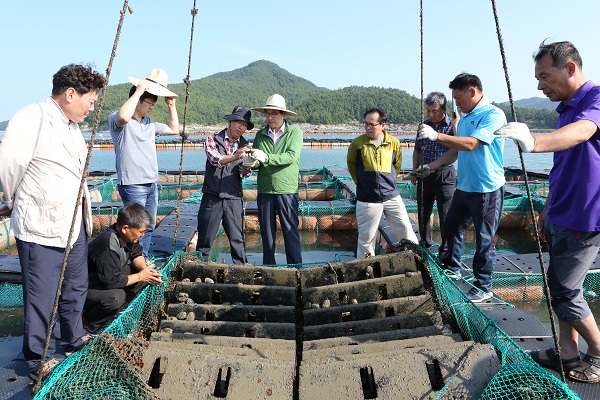 완도식품(주) 이미지