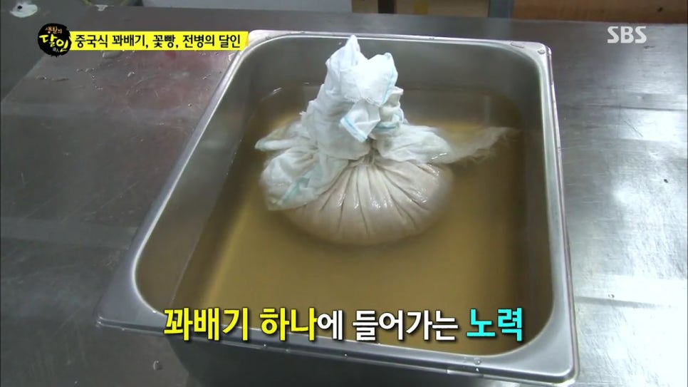 이가꽈배기 이미지