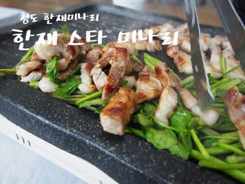 한재스타미나리 이미지