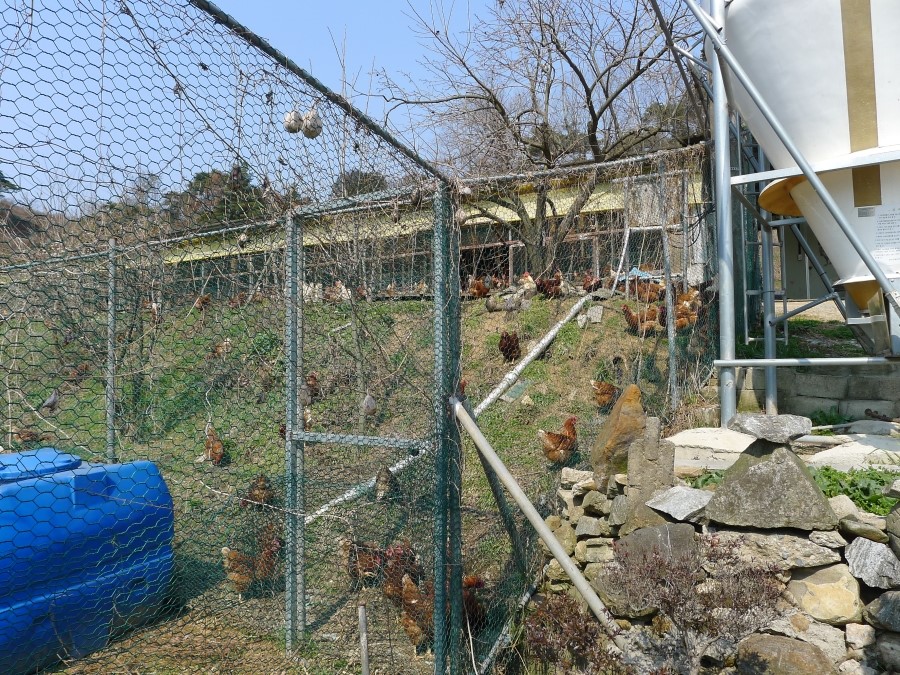곡성버섯농장 이미지