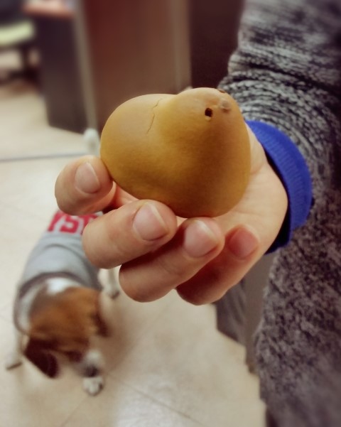 피앤디디자인 이미지