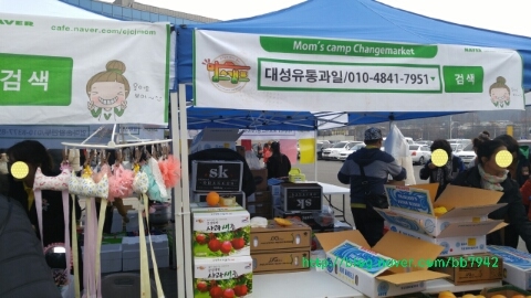 대성유통과일 이미지