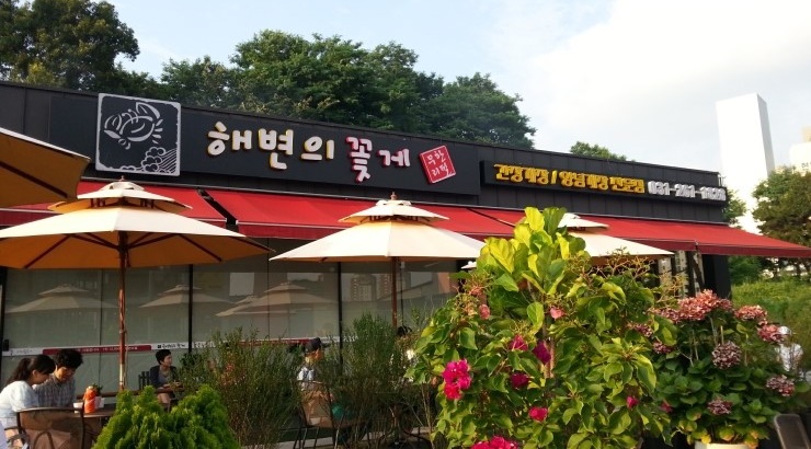 해변의 꽃게 이미지