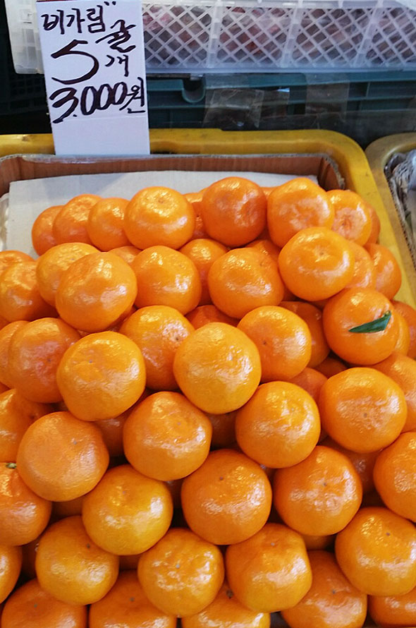 사거리청과 이미지