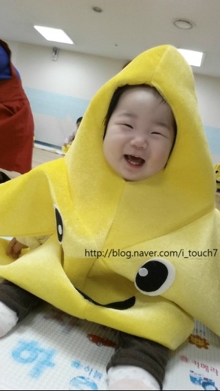 시니 이미지