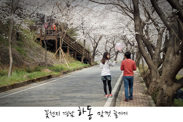 봄꽃헤어 이미지
