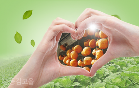 영동감 협동조합 이미지