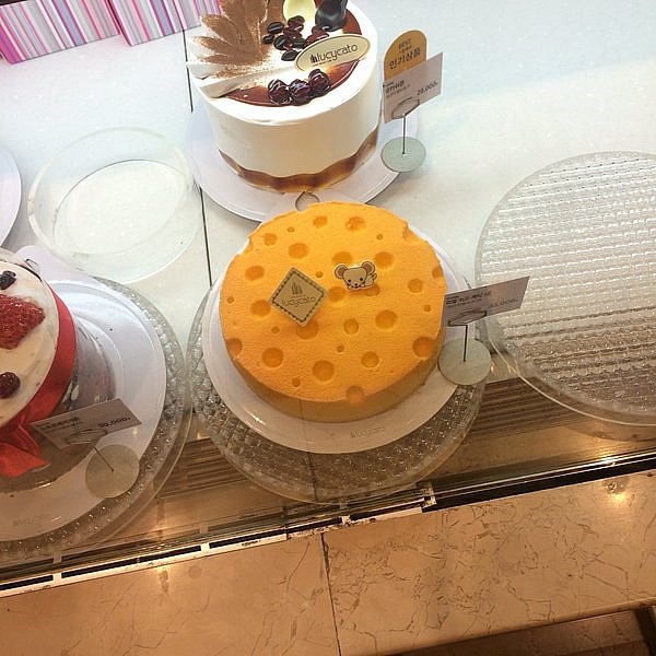 라두스 이미지