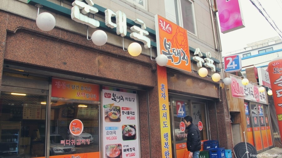 힘센복돼지 이미지