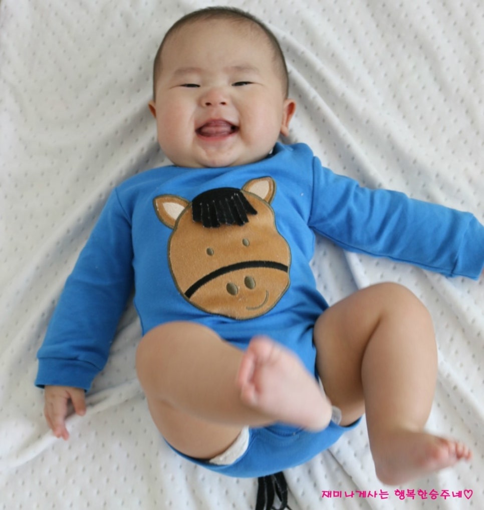 푸푸 이미지