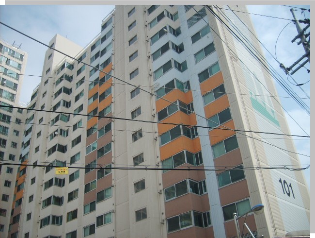 쿱스토어대구 이미지