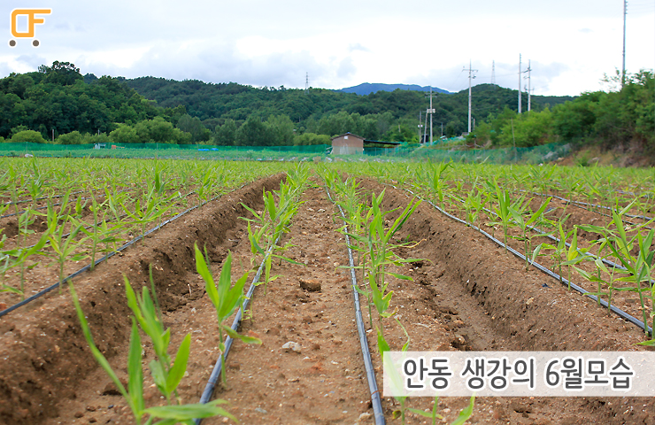 세환환경 이미지