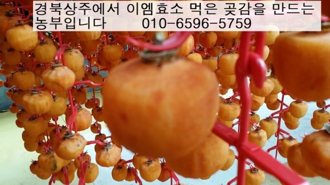 한국생산성본부연수원 이미지