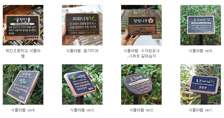 핸드앤트리 이미지