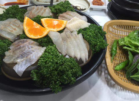 오늘도회 이미지