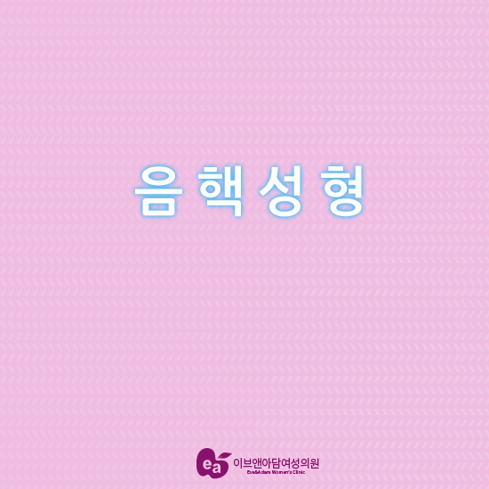 이브여성의원 이미지
