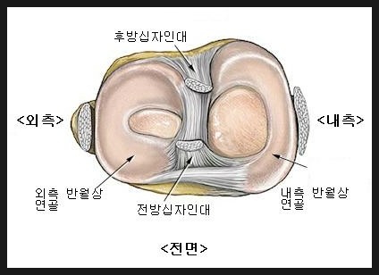 경희토정한의원 이미지