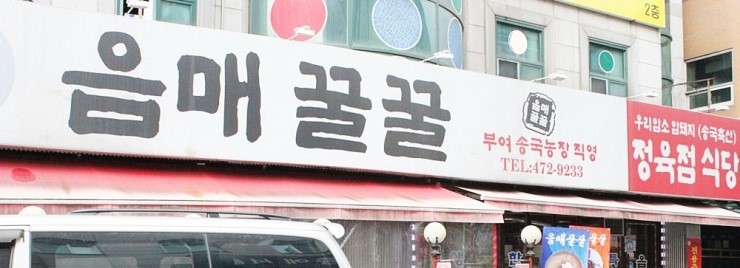 음매꿀꿀 이미지