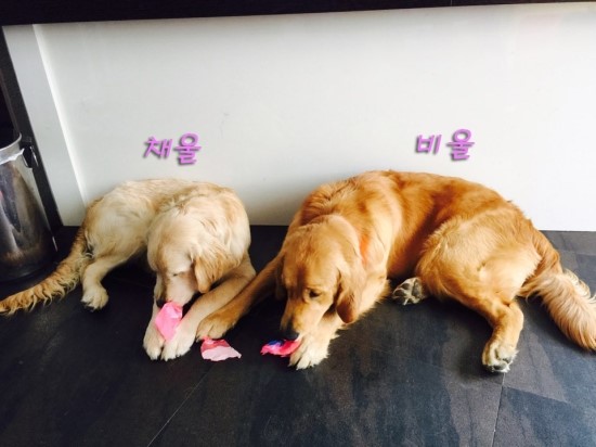 비울채울 이미지