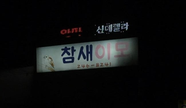 참새이모 이미지
