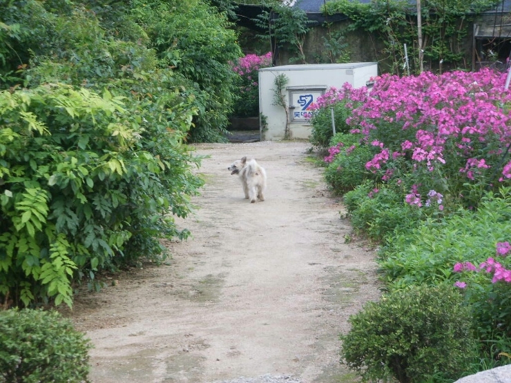 삼송농원 이미지