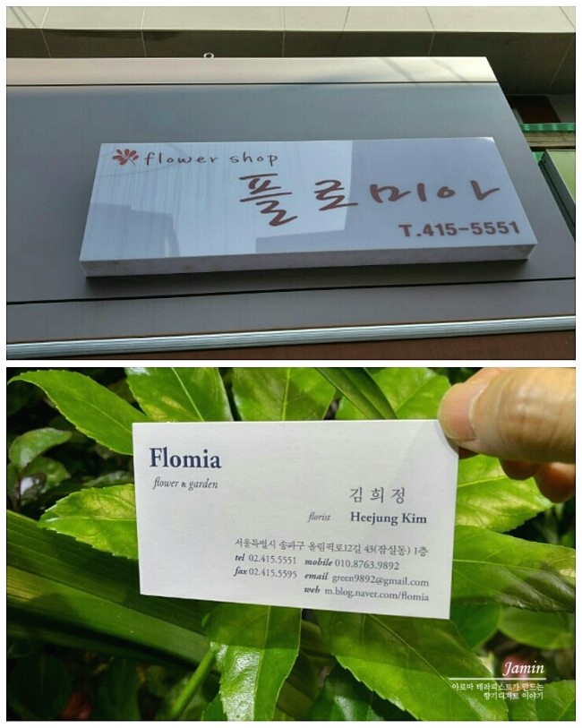 플로미아 이미지