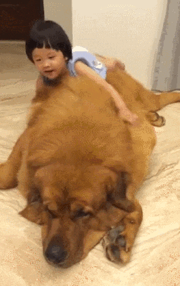 보라매전자담배 이미지