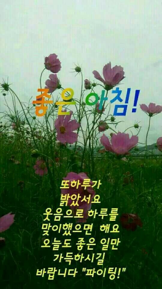 착한포크레인 이미지