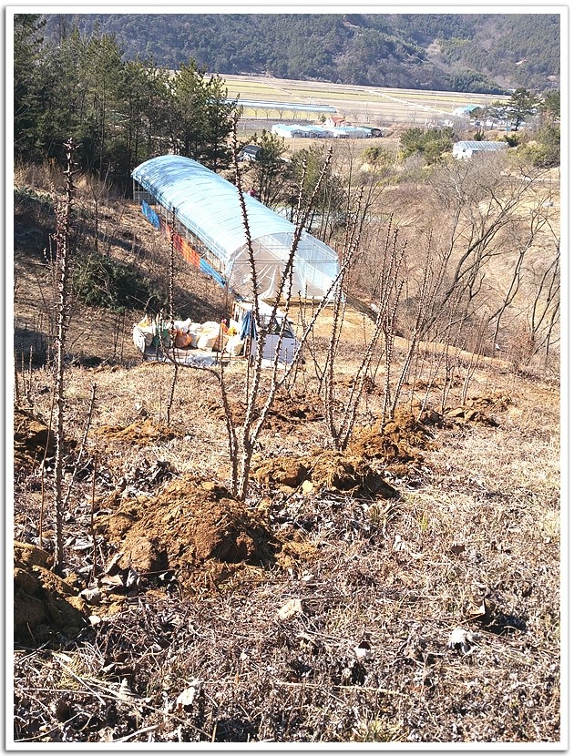 예담농원 이미지